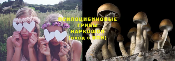 прущая мука Алексин