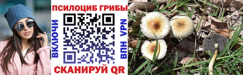 Псилоцибиновые грибы Magic Shrooms  Борзя 